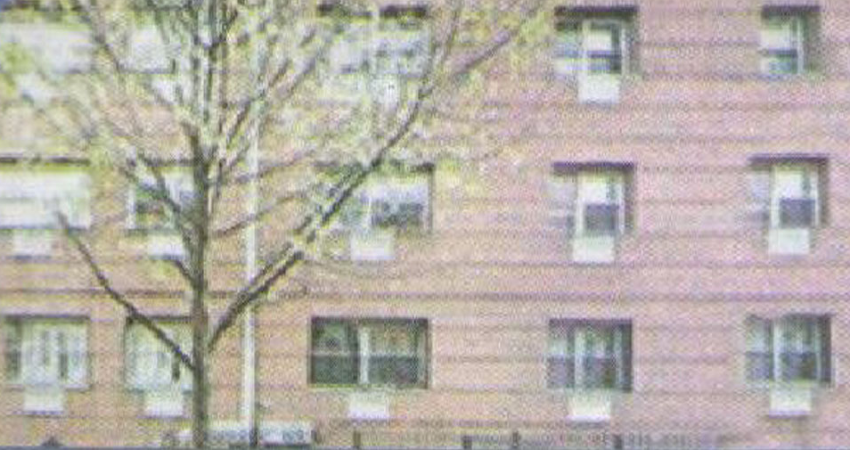For Sale Brooklyn
